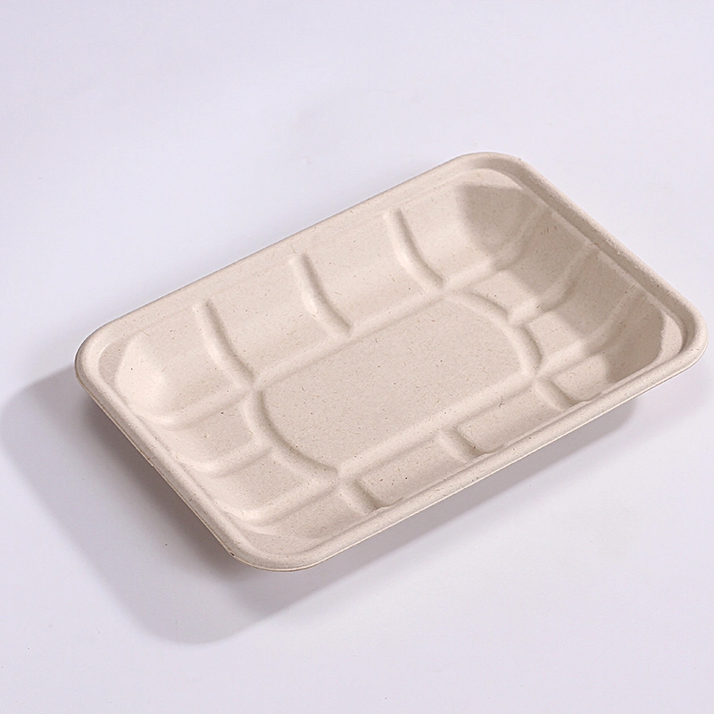 Assiette écologique biodégradable Vaisselle jetable en papier Plateau carré en bagasse de canne à sucre