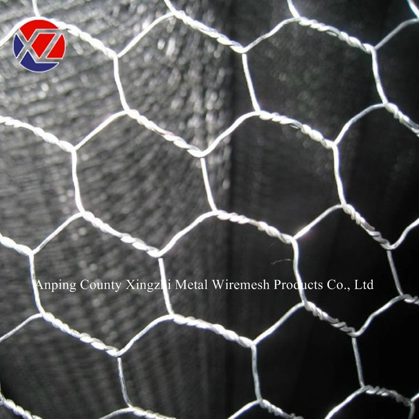 Hexagonal Triple Twist Chicken Wire Mesh Used for Agriculture/Farm/Animal Fence