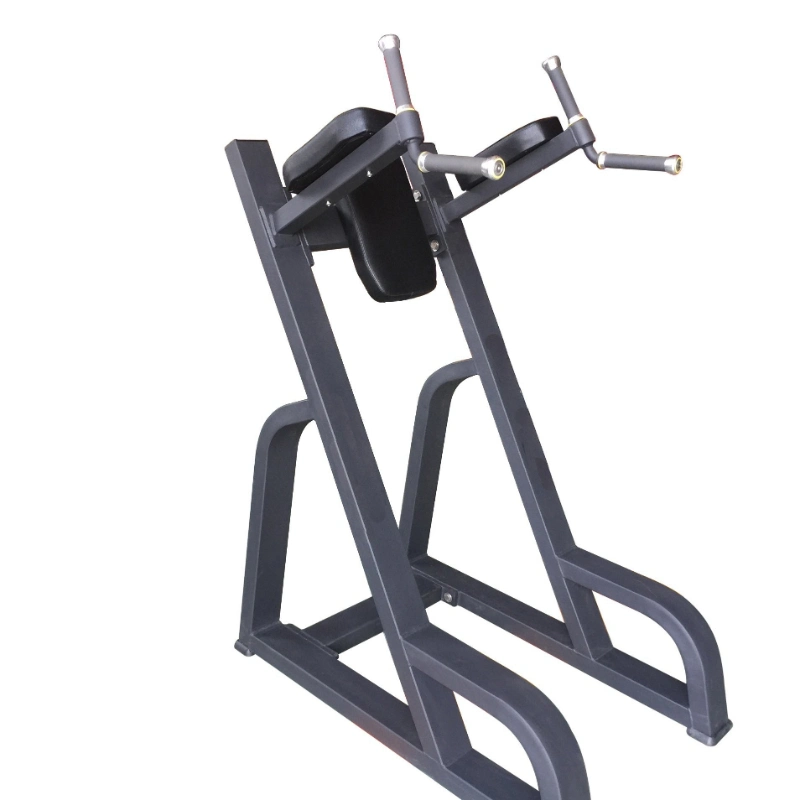 Best Exercise Fitness Equipment Vertical Kness up/DIP for Gym (AXD-8047)