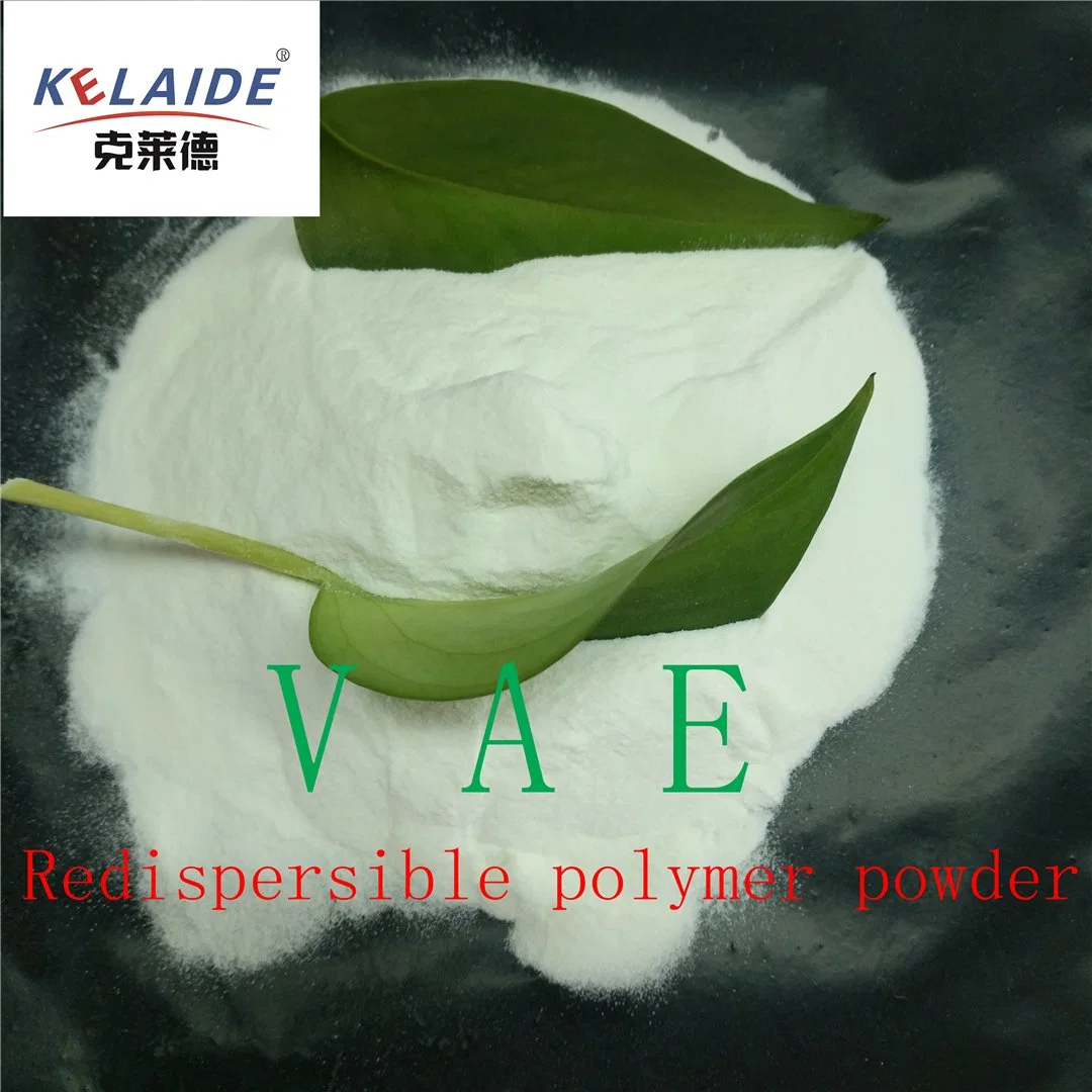 Dry Putty Polymer Powder