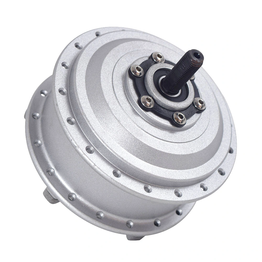 High Quality 100mm Motor Diameter Applicable to Various Scenarios Motor for Snowmobile