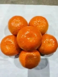 Fresh Mandarin Succulent and High quality/High cost performance Wogan Mandarin From China