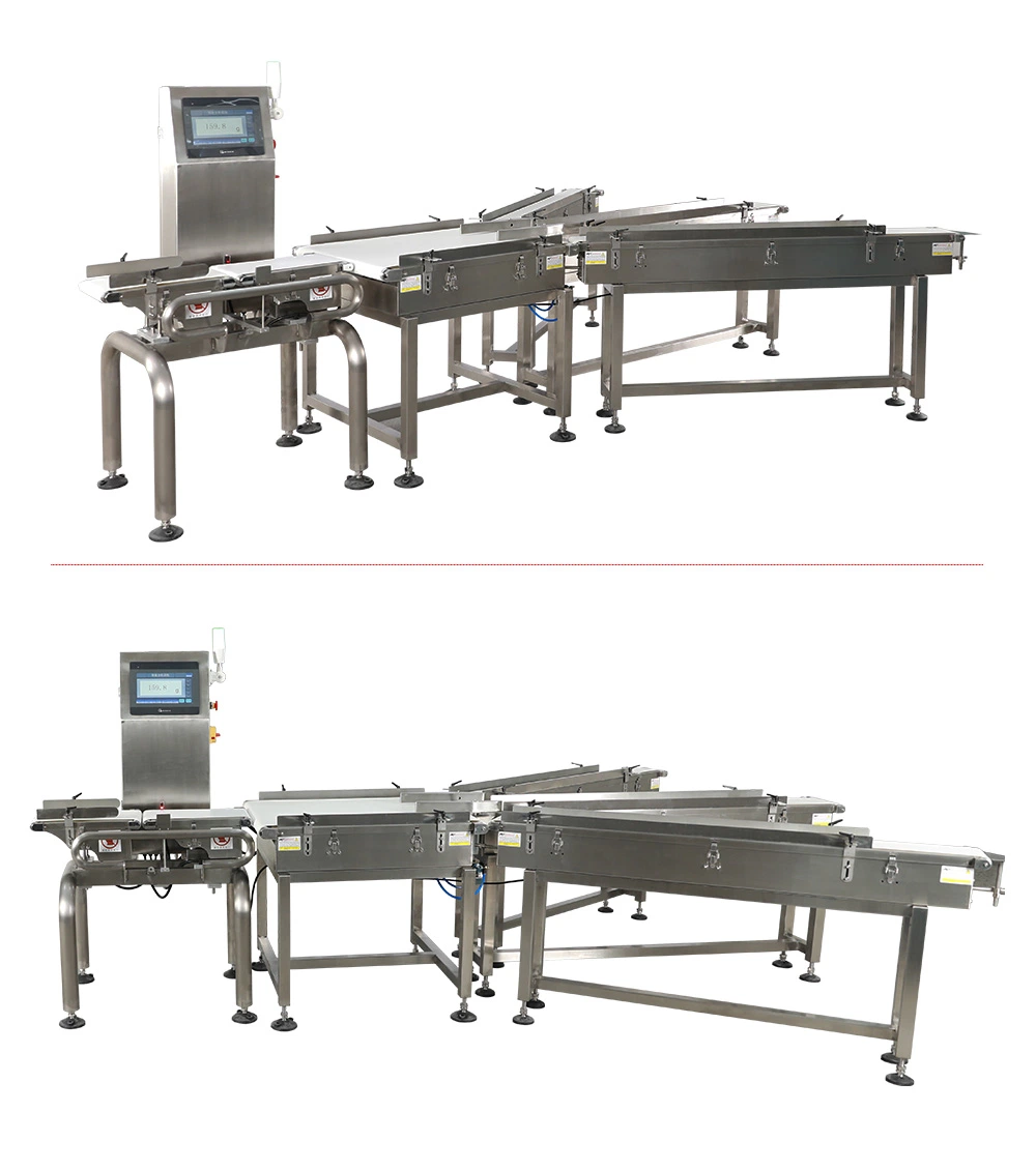 High Acurrate Conveyor Belt Fruit Fish Weighing and Grading Machine