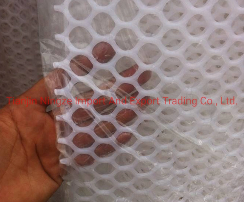 Width 1.2m Plastic Mesh for Poultry/Grassland/Aquaculture Square/Diamond/Hexagonal Hole Shape