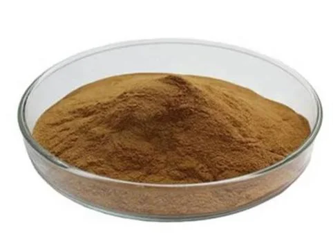 Extracto de polvo de jengibre de alta calidad 6-Gingerol 2% 5% aceite de jengibre Extraer