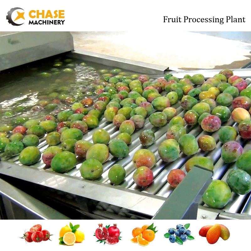 Professional Apple Chips Jam Pulp Juice Production Making Processing Plant