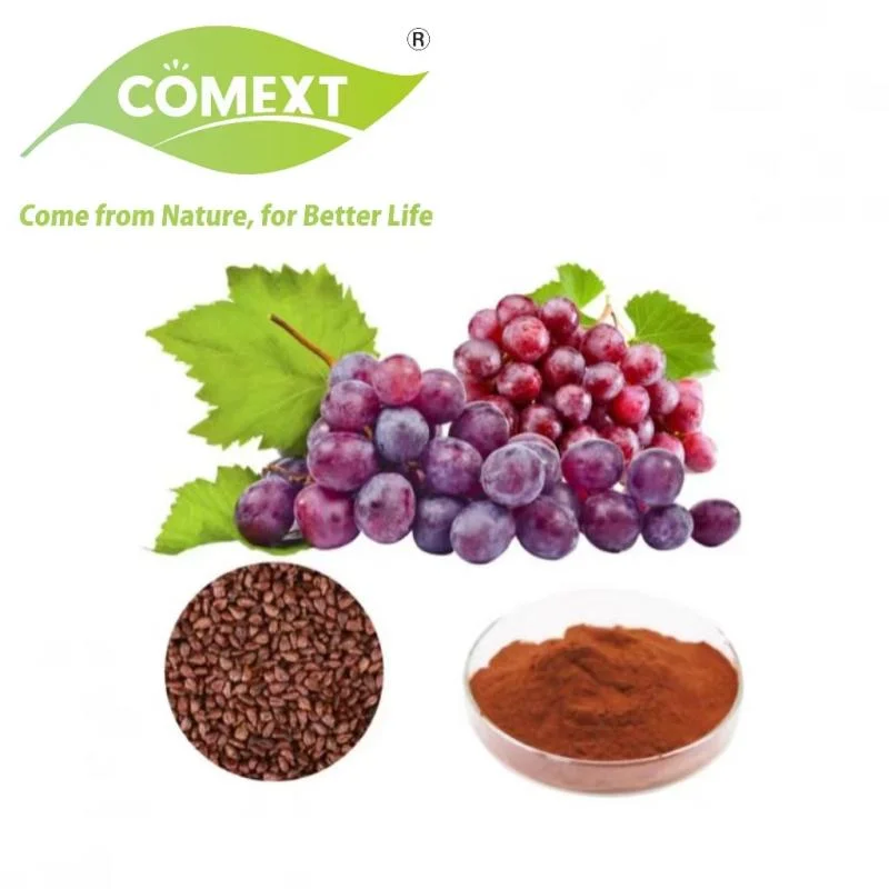 Comext 100% Natürliche Pflanzenextrakt Pulver Antioxidant Traubenkernmehl Extrahieren