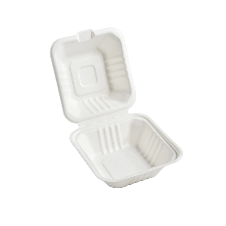 Disposable Biodegradable Compostable Sugarcane Bagasse Lunch Food Take Away Box Container