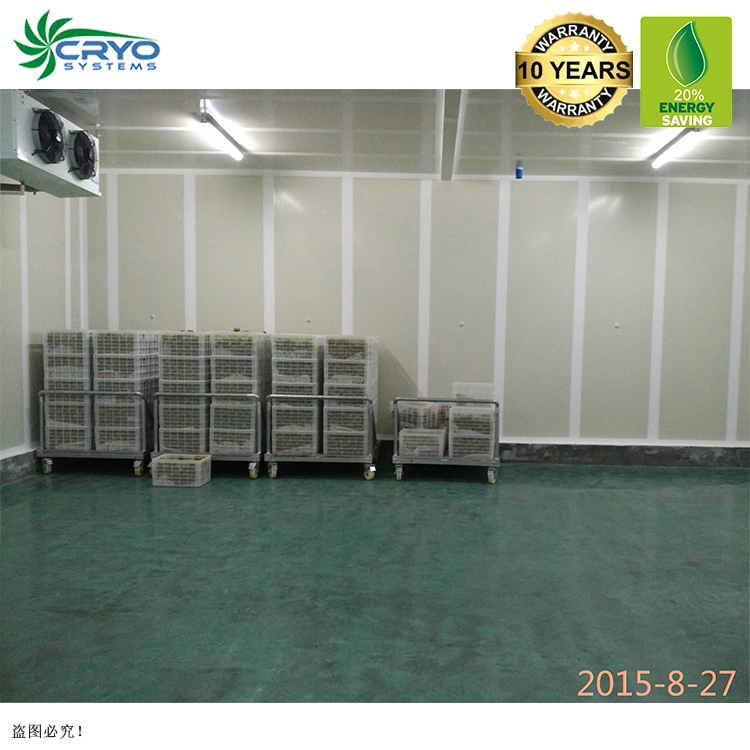 Quality Guaranteed Poultry Custom Cold Storage