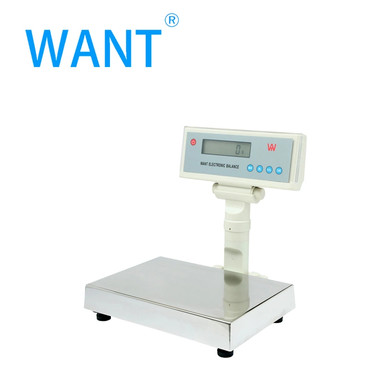 Industrial Electronic Platform Scale