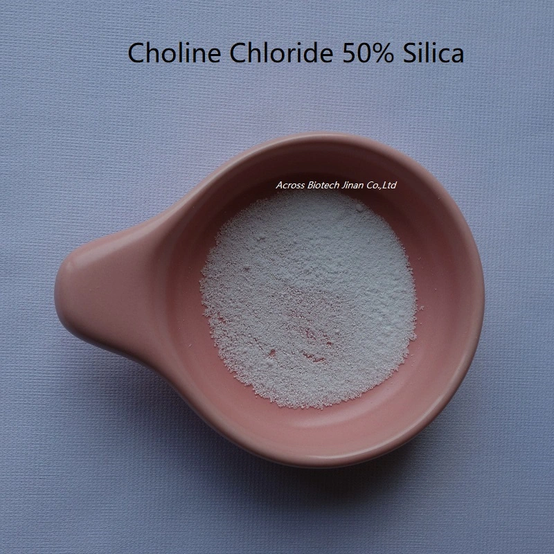 Bulk Stock Feed Grade Choline Chloride 50%/C5h14clno Price