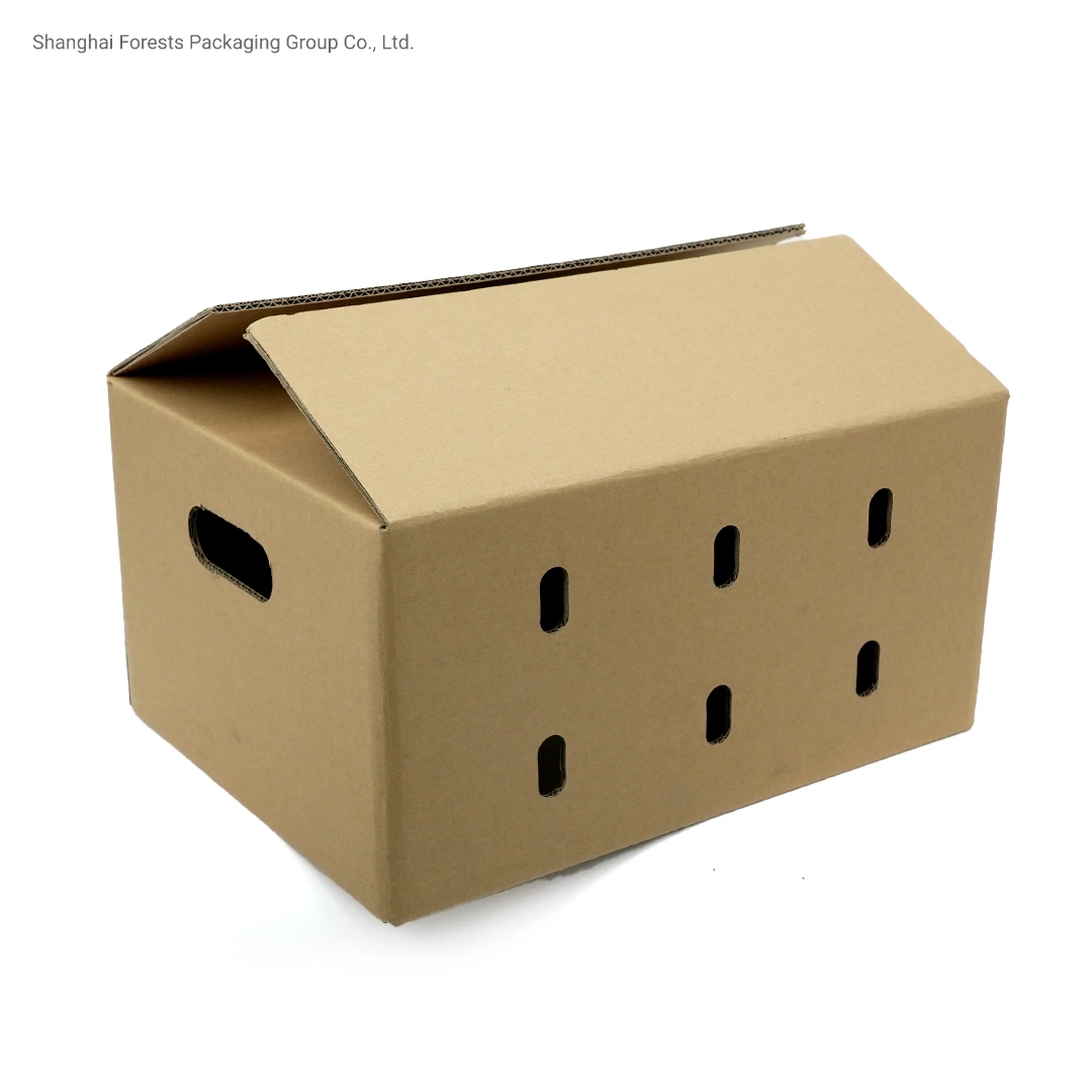 Wholesale/Supplier Corrugated Handle Box Air Holes Shipping Carton Flower Box