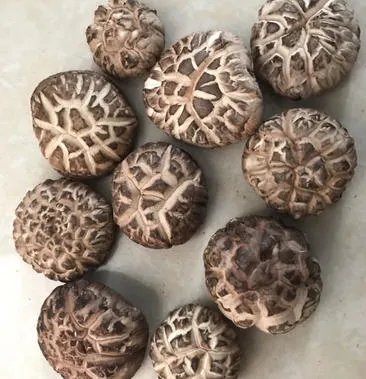 Dried Black-White Grain Tea Flower Shiitake Mushroom