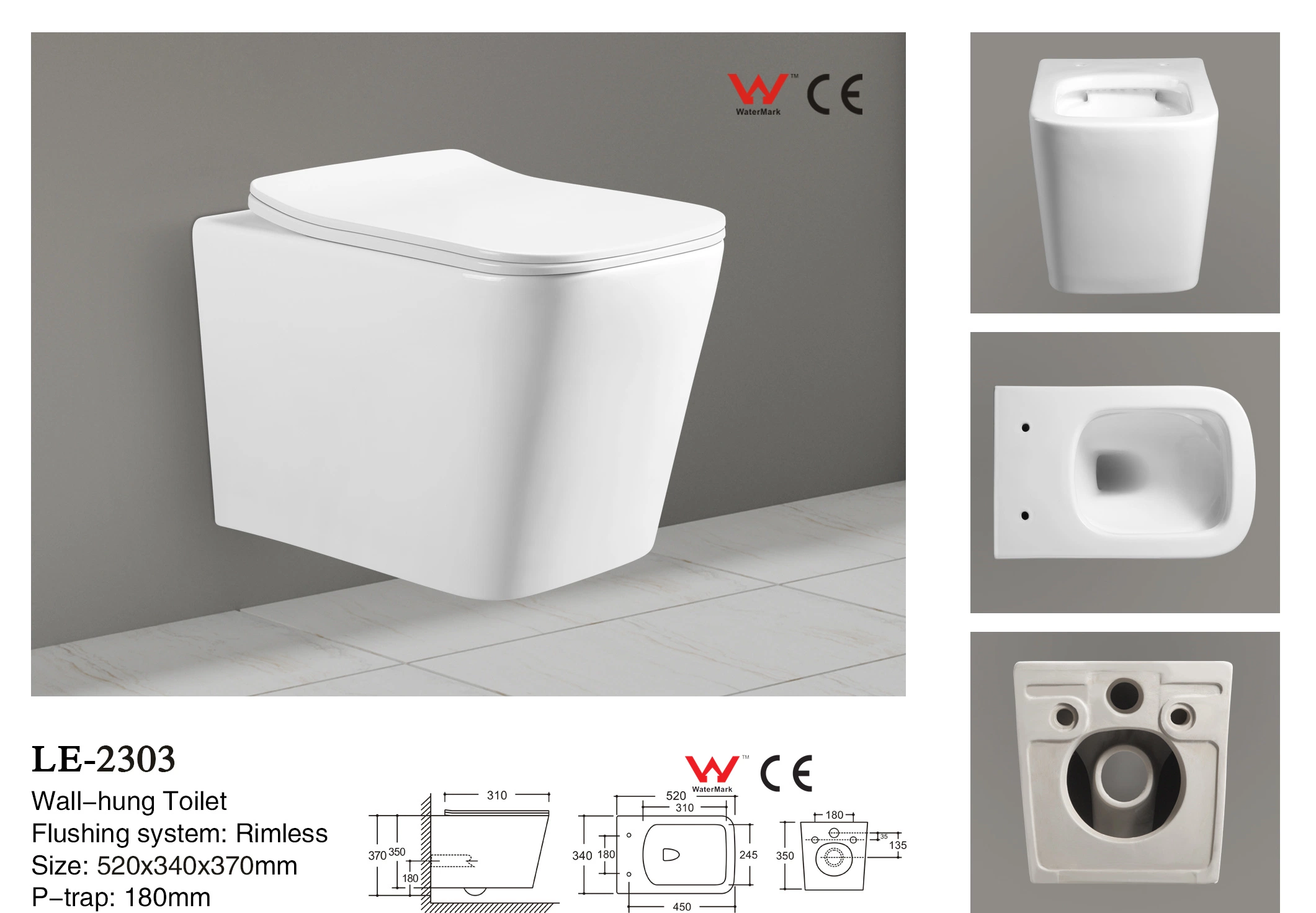 European Standard Ceramica Wall Hung Water Closet Mounted Toilet with Bidet 2303-Oiq
