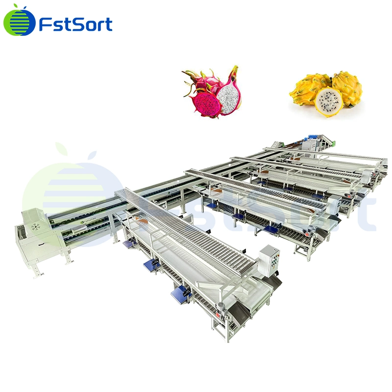 Dragon Fruit Electronic Weighing Grader Six Grades Pitaya Sorting Machine Dragon Fruit Packing Equipment Dragon Fruit Washing Machine Grading Equipment