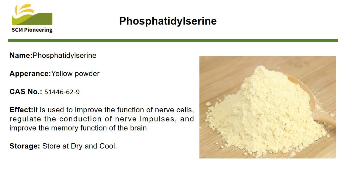 Prix en vrac de gros de la phosphatidylsérine / extrait de soja naturel de la phosphatidylsérine CAS 51446-62-9