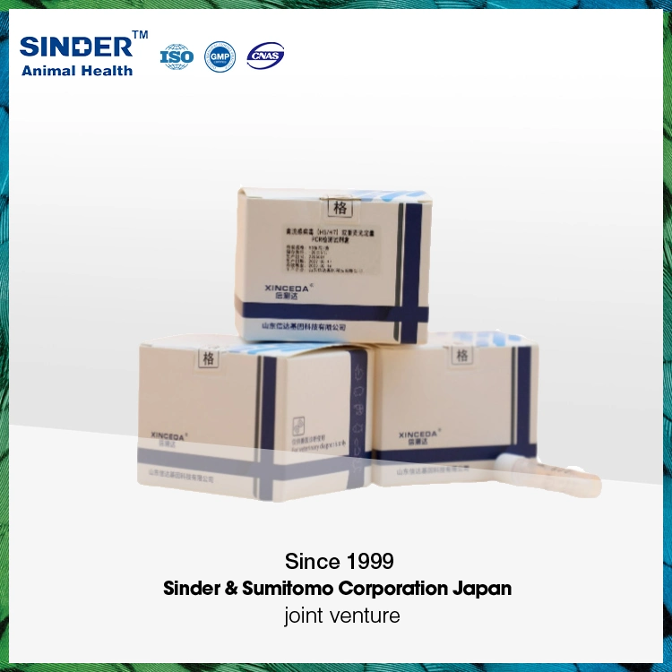 Kit de detección de pruebas diagnósticas de PCR en tiempo real de camarones para hepatopancreático agudo Enfermedad de necrosis Ahpnd