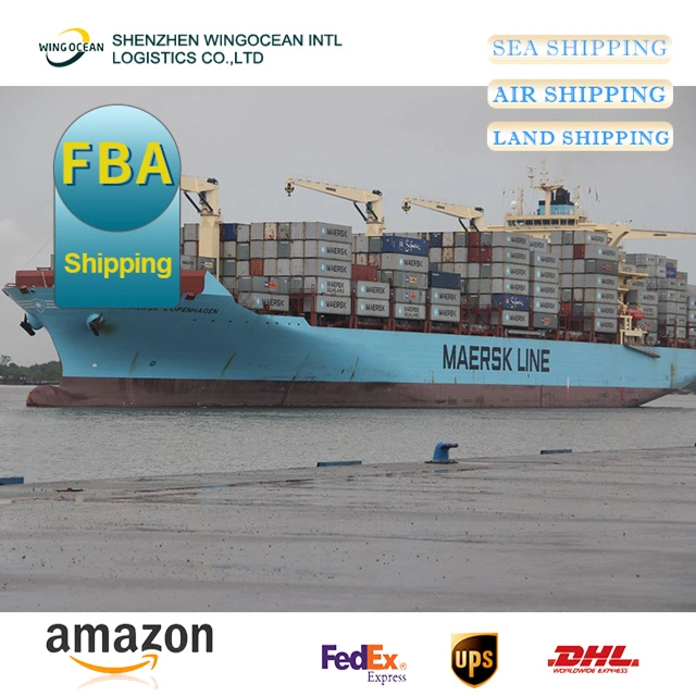 China Logistics Top 10 Servicio de Envío Transporte Transporte Transporte marítimo Agente en EE.UU. / Europa / África / Asia / Australia / Oriente Medio/ América del Sur