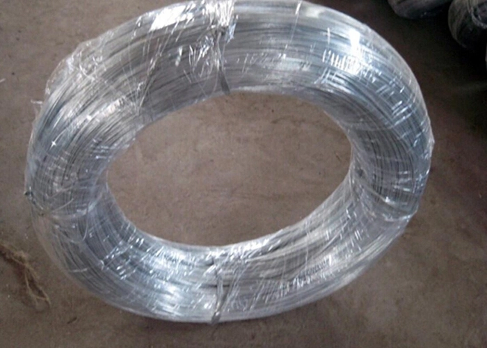 Galvanized U Type Wire with Best Price