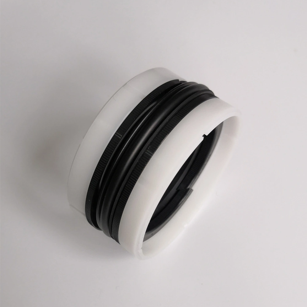 China Factory Hydraulic Piston Seal Dpm/Tpm Hydraulic Double-Acting Compact Piston Seal