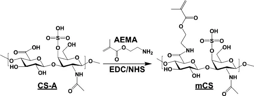 Le cartilage de poulet hydrolysé collagène de type II contient du Sulfate de chondroïtine et de l'acide hyaluronique