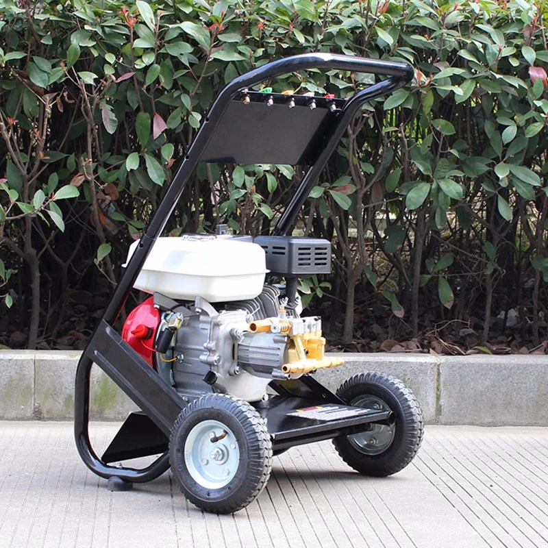 Bison BS170A Garden Tools Gasoline High Pressure Washer Water Cleaner (أدوات حديقة Bison BS17