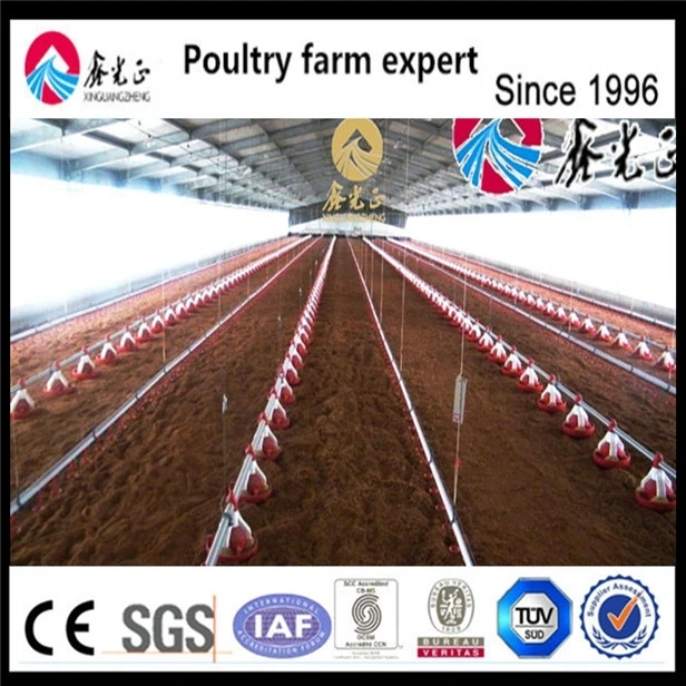 Factory Price Stainless Steel Full Set Automatic Chicken Feeding System Poultry Farm