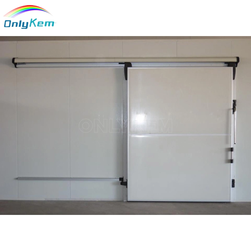 Cold Storage Room Swing Sliding Door Walk in Cooler/Freezer Door