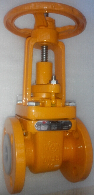 ANSI Flange Type PFA Lined Gate Valve Wcb