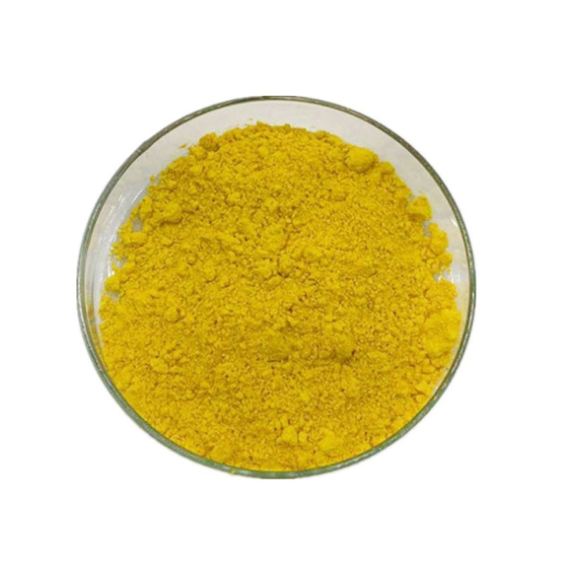 Herbal Extract Coptis Root Extract 10%-98% Berberine / Berberine Hydrochloride HPLC