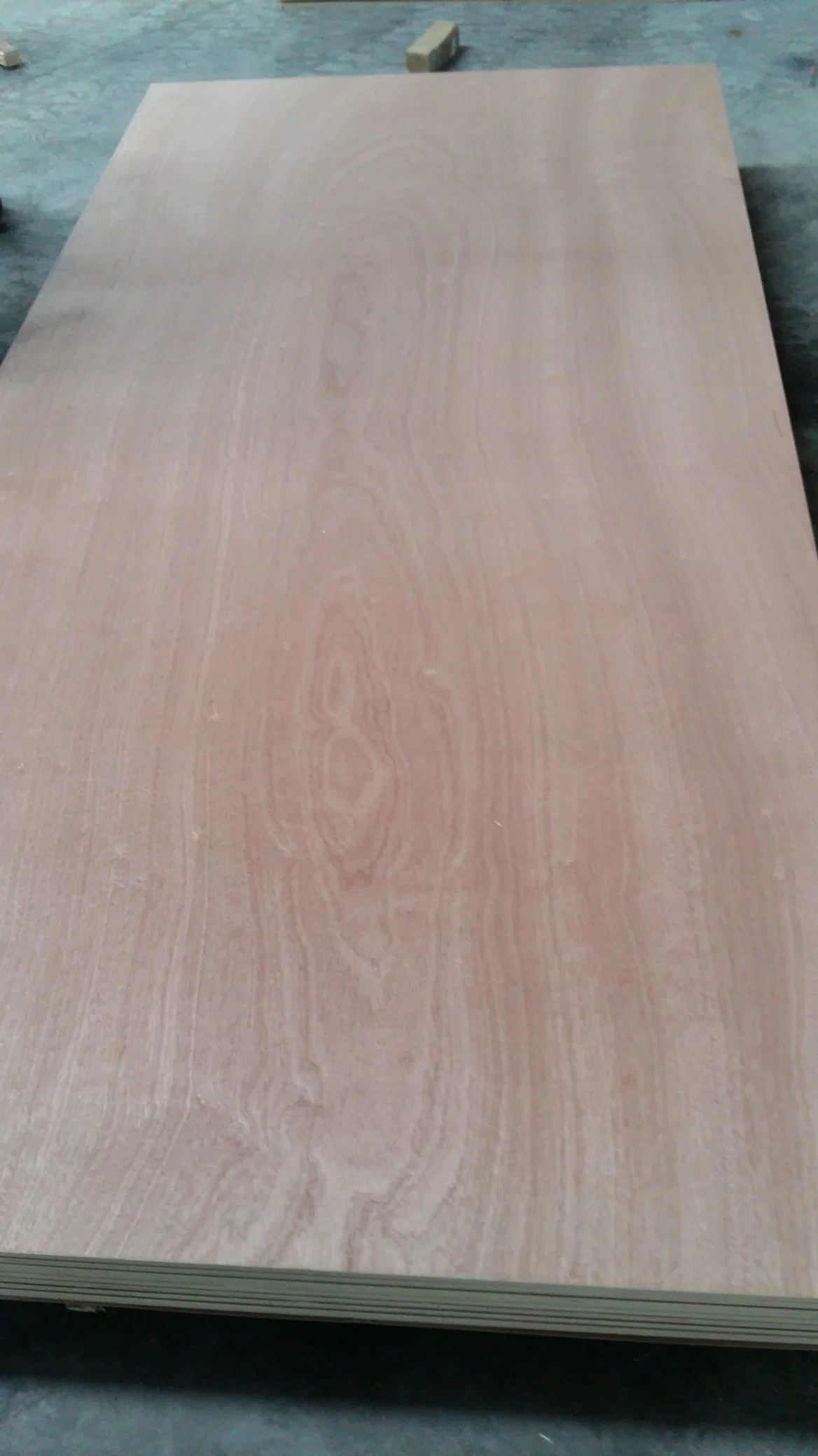 Factory-Full Red Sapele Hardwood Veneer Plywood/Full Hardwood Core Plywood 6mm-18mm