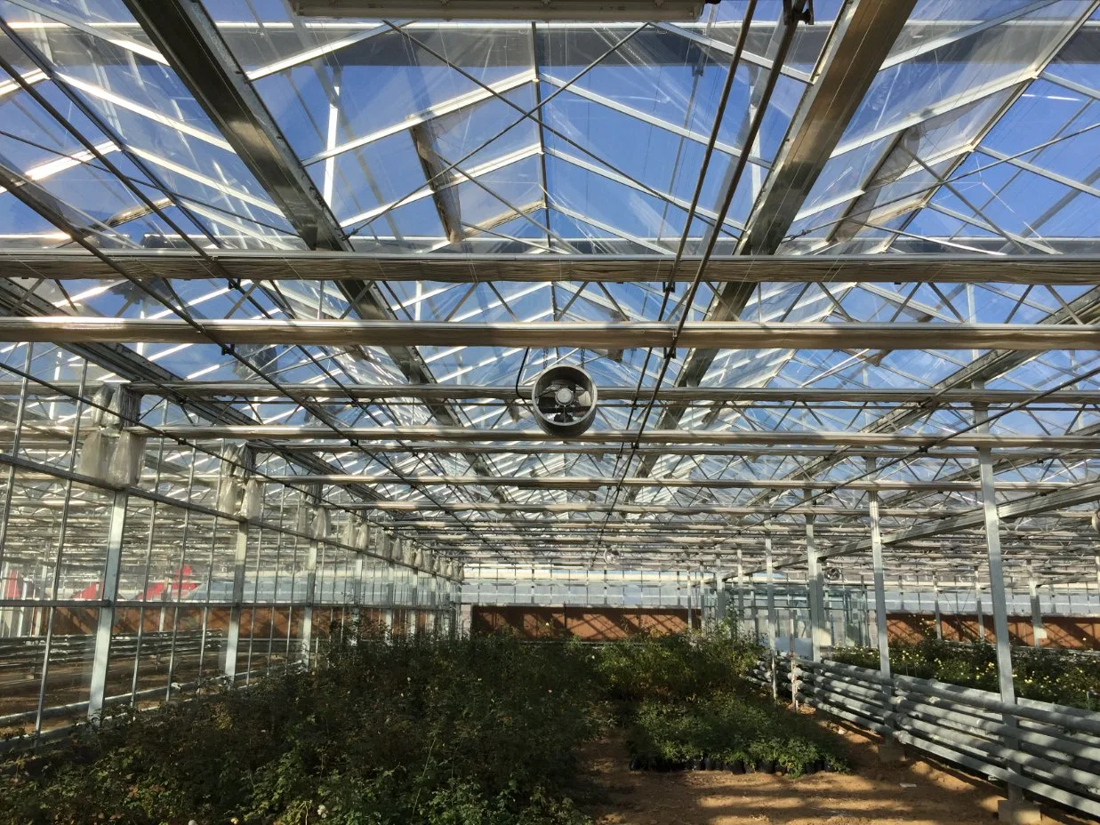 Cabrio Roof/Openable Roof Greenhouse/Film/Double Layer