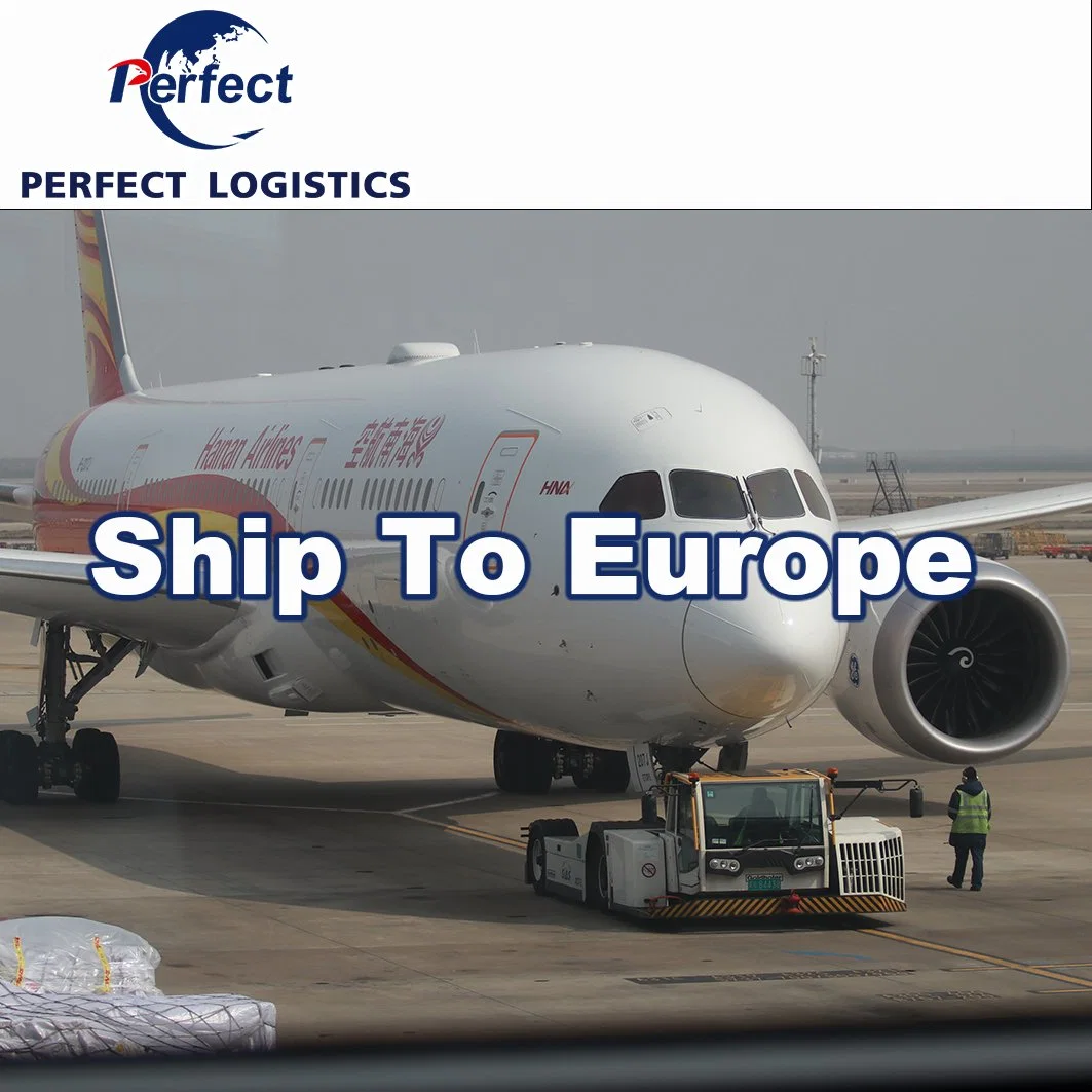 Logistics Agent Ship FCL and LCL Cargo with Cheapest Price Customs and Tax Included to USA/Malaysia/Germany/Saudi Arabia/England