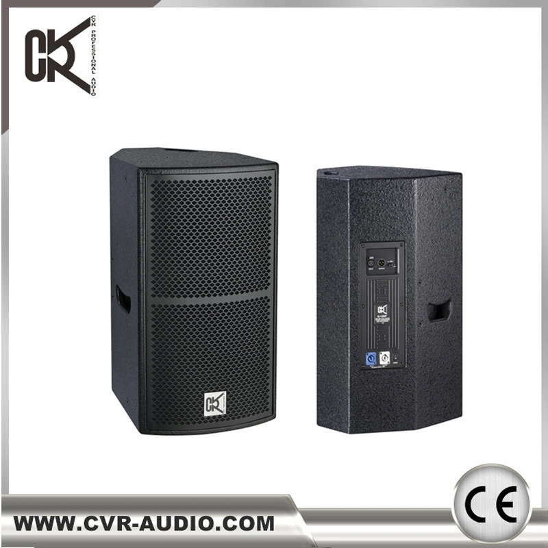 Cvr Audio Active/ Passive 10 Inch PA Speaker