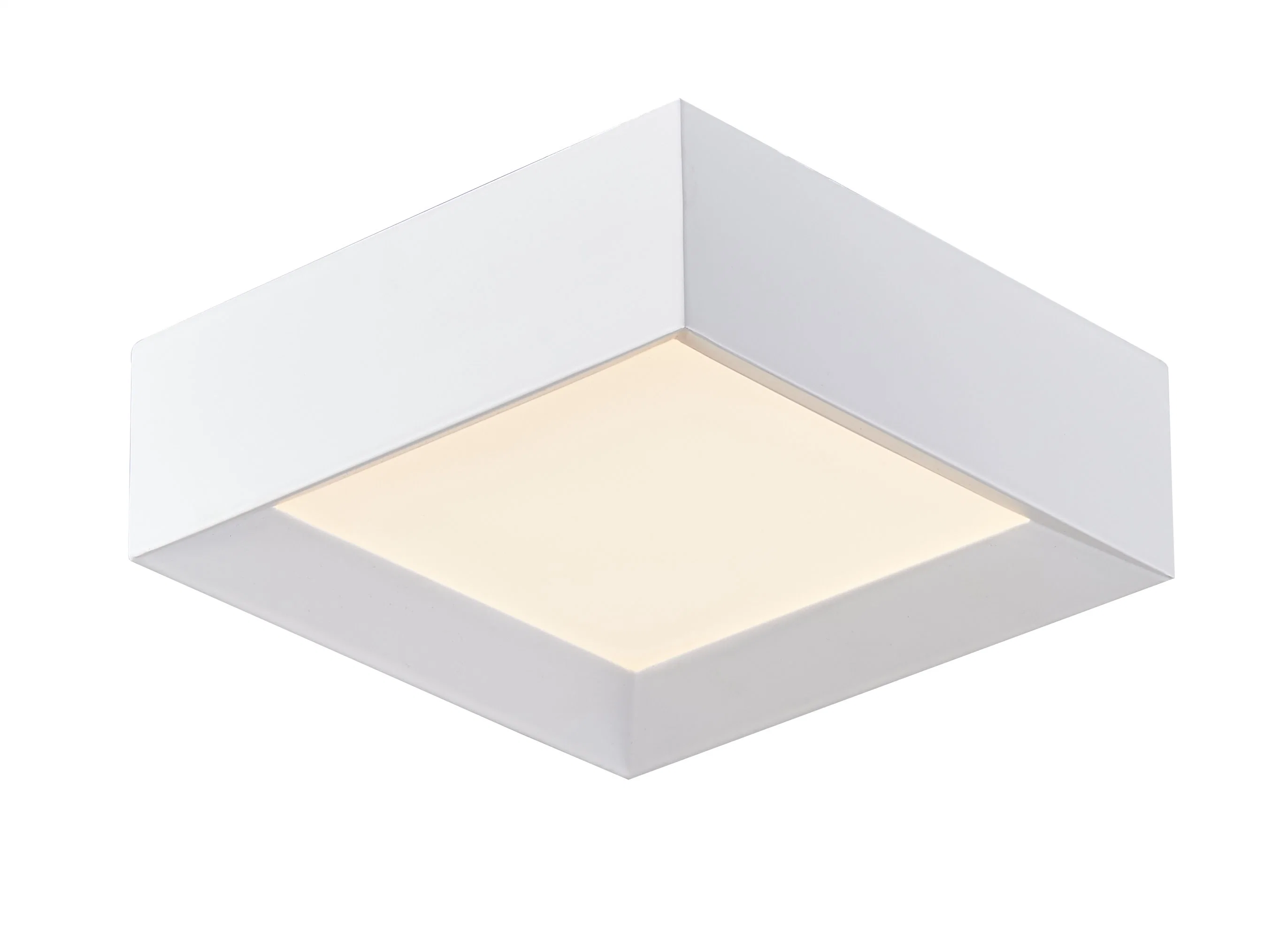 Plafon LED quadrado branco de 12 polegadas com acrílico (C3002)