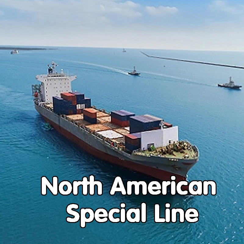 Sea Freight Shipping Cost China to Mexico Door to Door Cargo Services