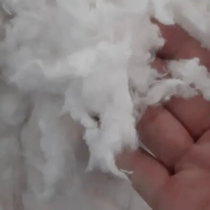 Cheap Raw Cotton Fiber Factory Wholesale/Supplier with Free Samples