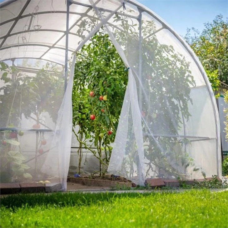 1.8m Wide Beautiful Greenhouse Backyard Durable for Sale