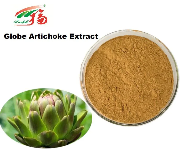 Proporcionar alta calidad/ Extracto de Alcachofa Cynara Scolymus extraer
