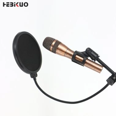 Großhandel/Lieferant Studio Hohe Qualität Dual Layer Custom Mikrofon Pop Filter Mit Gänsehalsausschnitt