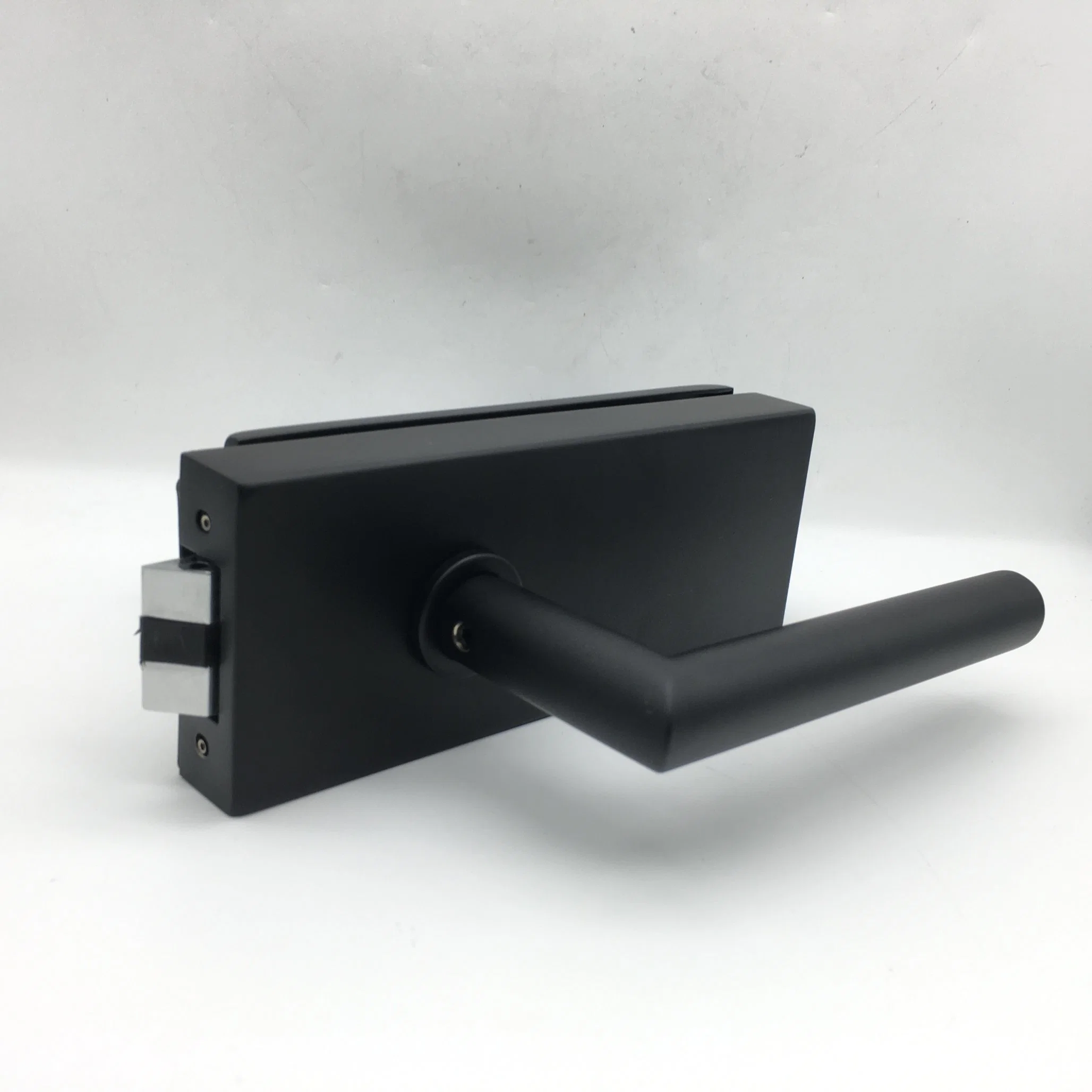 Matt Black Powder Coating Stainless Steel SS304 Passage Silcent Lockcase Lever Door Handle