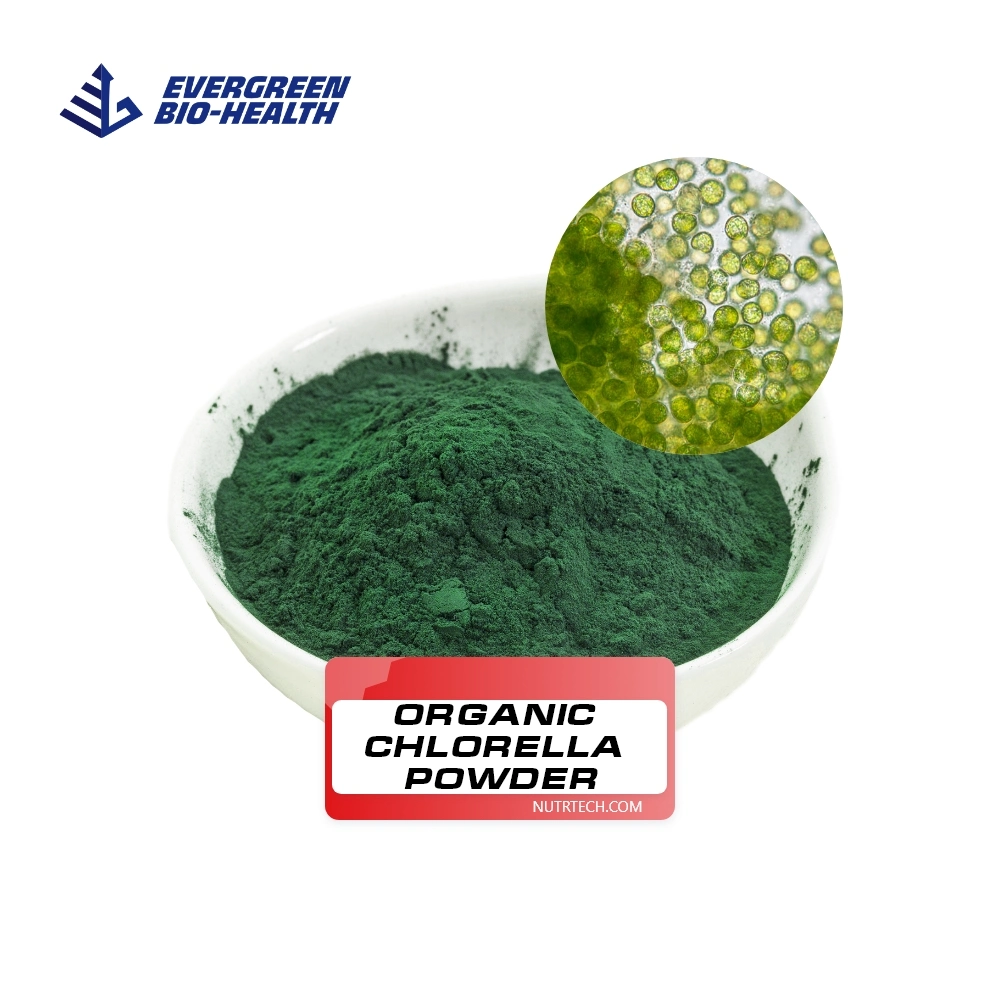Factory Supply Super Greens Wholesale/Supplier Price Private Labels Organic Chlorella Powder