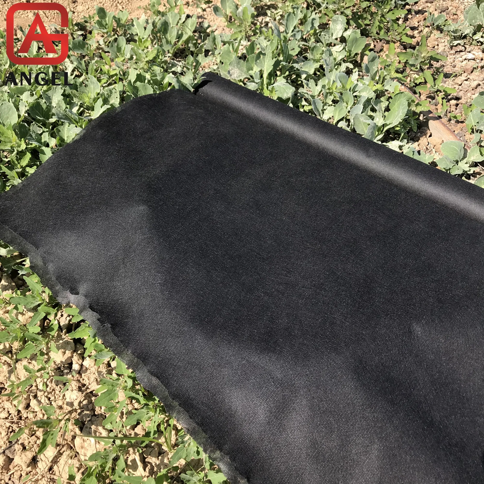 High Quality 17g PP Non-Woven Fabric Weed Control
