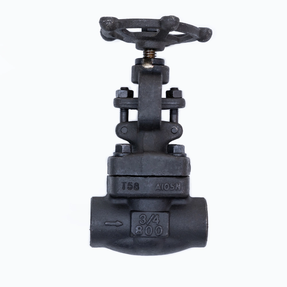 Socket Weld Stainless Steel Globe Valve Class800