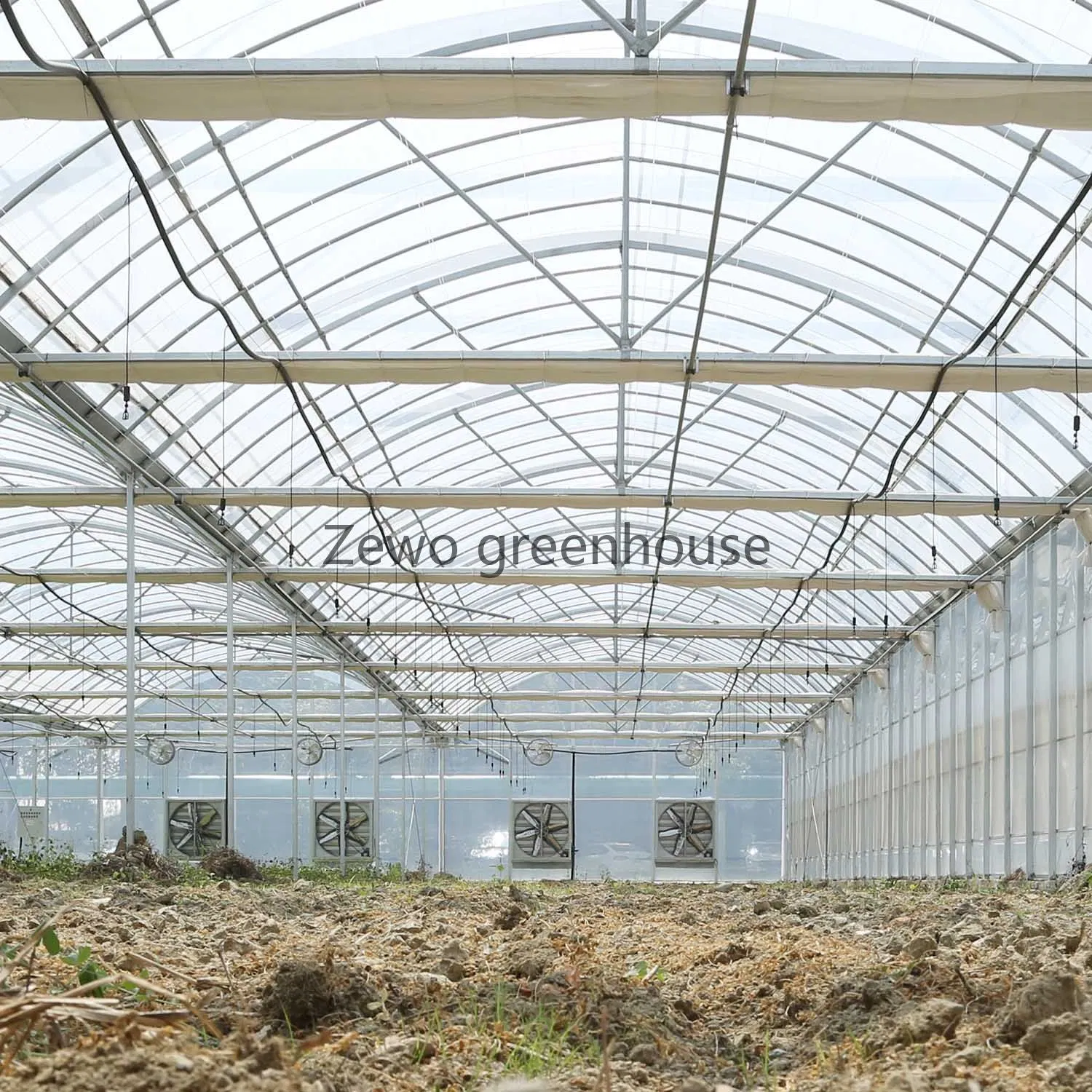 Customized Greenhouses Project Multi-Span Plastic Film Green House for Vegetable