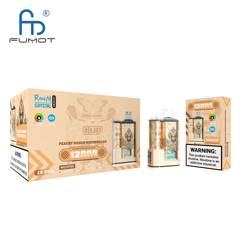 Usa Popular Randm VAPE Fumot 12000 Puffs VAPE recargable al por mayor Fábrica de fabricación de cigarrillos electrónicos desechables E.