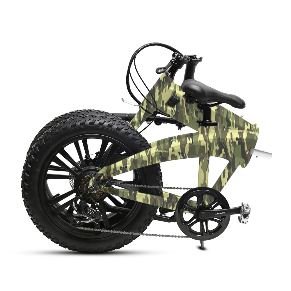 20inch Aluminum Alloy Electric Foldable Bike with Ce Wholesale/Supplier