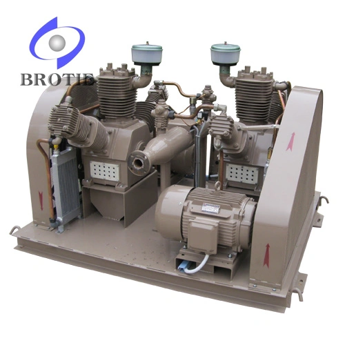 Brotie Oil-Free Oilless Air Compressor