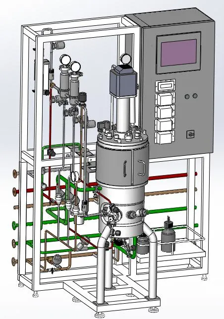 Bxbio 10-10000L Plant Cell Bioreactor with Illumination Function