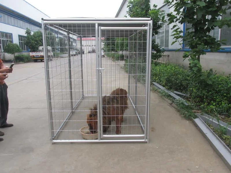 Heavy Duty 5ft apilable Big Large Collapsible de acero inoxidable Proveedores de Cages de perrera